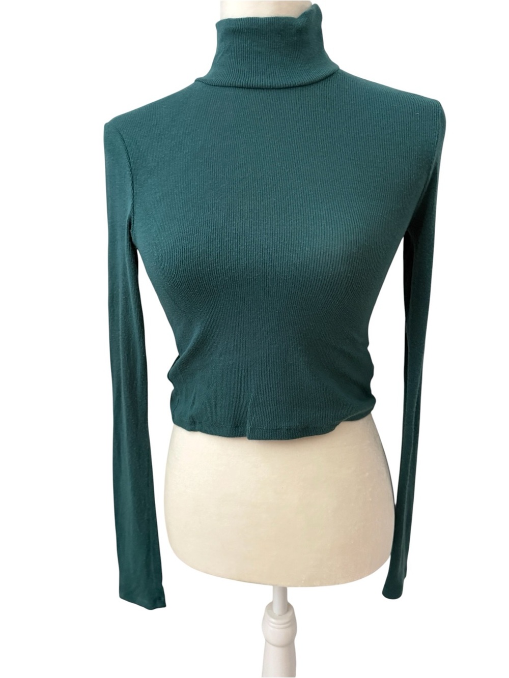 ARITZIA WILFRED Ribbed Turtleneck Cropped Long Sleeve Top